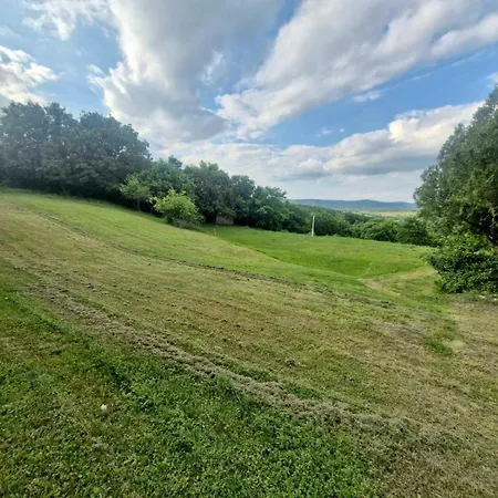 Panorama Vendeghaz 度假居 *